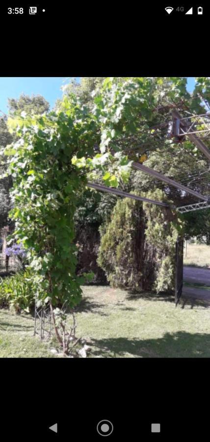 Abuelo Coqui Сasa de vacaciones